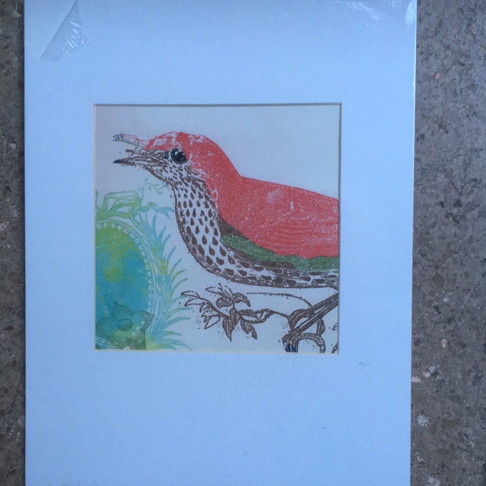 Colorful Bird Art Print